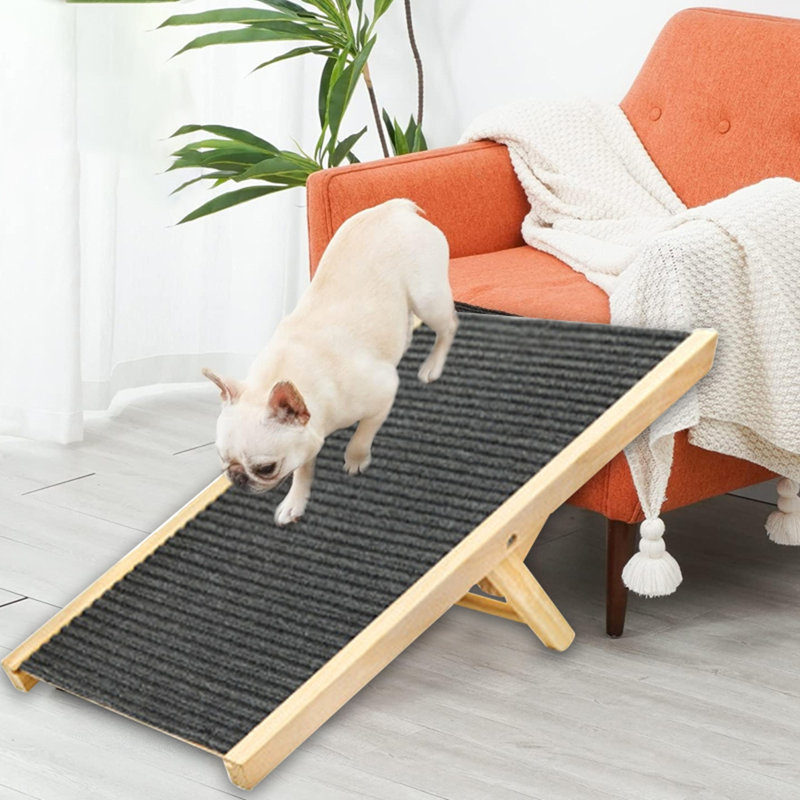 Pet Ramp