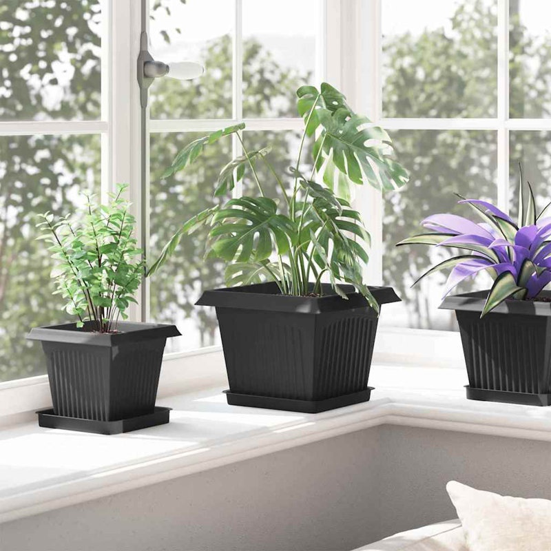  Square Flower Pot 6 Pcs Plastic, 17.5cm H x 23cm W x 23cm D, Black