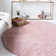 Indoor Rug