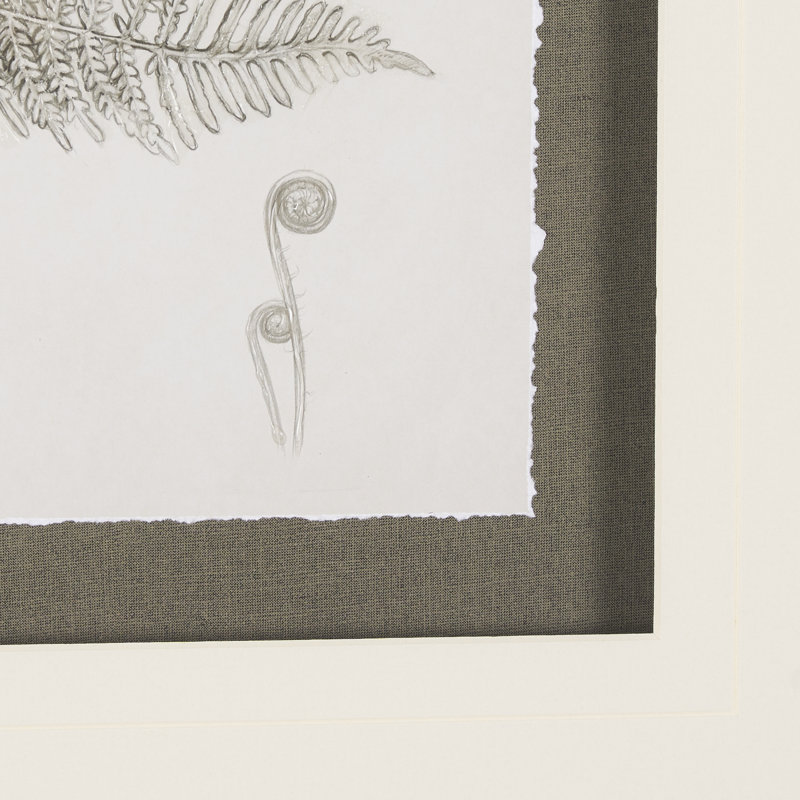 «Kingery Study III By Studio», reproduction d'art encadrée à la main avec passe-partout, Fern Study III, 21.5L x 1.6W x 41.5H