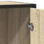 Amaru 62cm Sideboard-252176231