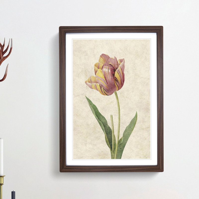 Pink Tulip by Pierre-Joseph Redoute - Picture Frame Painting Print, 48cm H x 36cm W x 2cm D, Walnut Framed