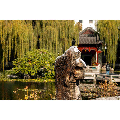 " Willow Tree Park Photography "
