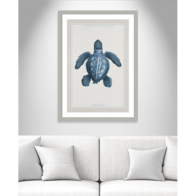 Alyiah «Atlantic Marine Museum Turtle I», reproduction d'impression encadrée