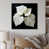 Toile tendue