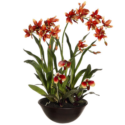 Silk Orchids Arrangement in Pot