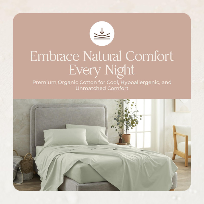 Draps 100% coton Whisper Organic - Taille grand - Draps certifiés biologiques Gots avec poches profondes et tissage en satin respirant et confortable qui devient plus doux à chaque lavage - Ensemble de luxe 3 pièces (grand - vert pastel)