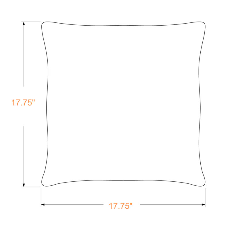 Cronin Pillows Set Of 2