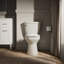 Cimarron 1.6 GPF Elongated Two-Piece Toilet (Seat Not Included)-61803561-71842479