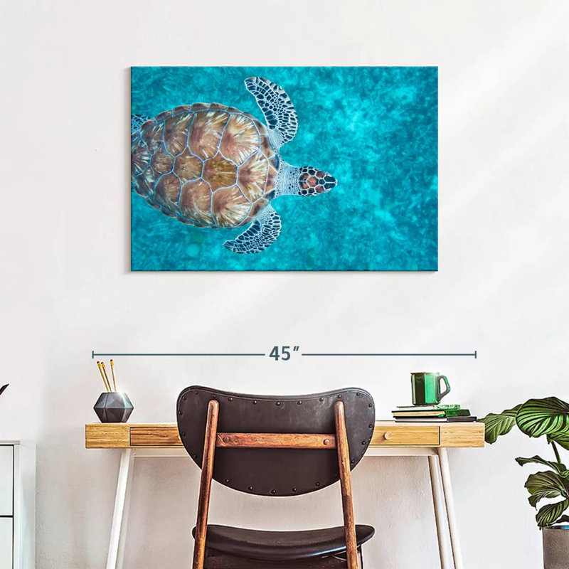 Natation tortue imbriquée, H 24 po x l 36 po