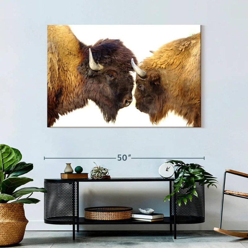 Brampt Bisons I, 32" H x 48" W