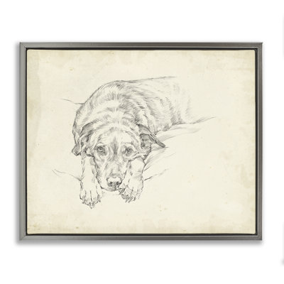Art mural sur toile flottante, "Antique Dog Gazing Up", par Ethan Harper
