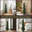 Plante topiaire en buis Darby Home Co