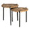 Griffith Park Bunching Tables