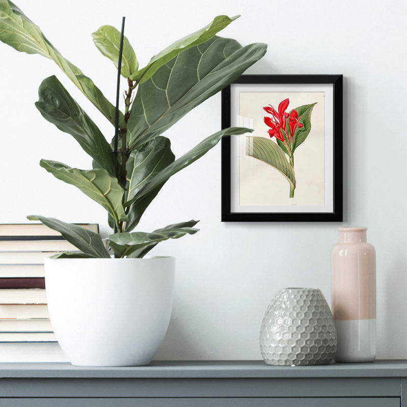 Chordata II -Gallery Wrapped Canvas