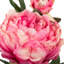 Tige de pivoine artificielle 24 po-769355735