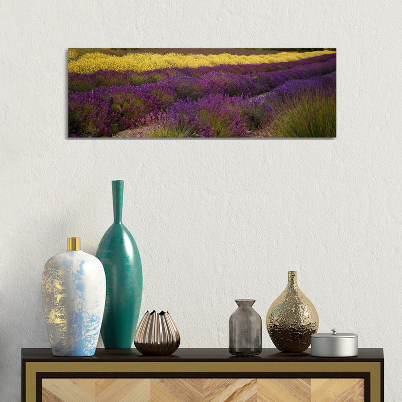Lavender And Yellow Flower Fields, Sequim, Washington, USA - Wrapped Canvas Panoramic Print