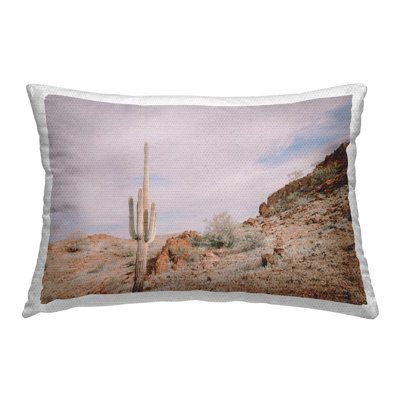 The Climb Desertscape Outdoor Printed Pillow by Wild Apple