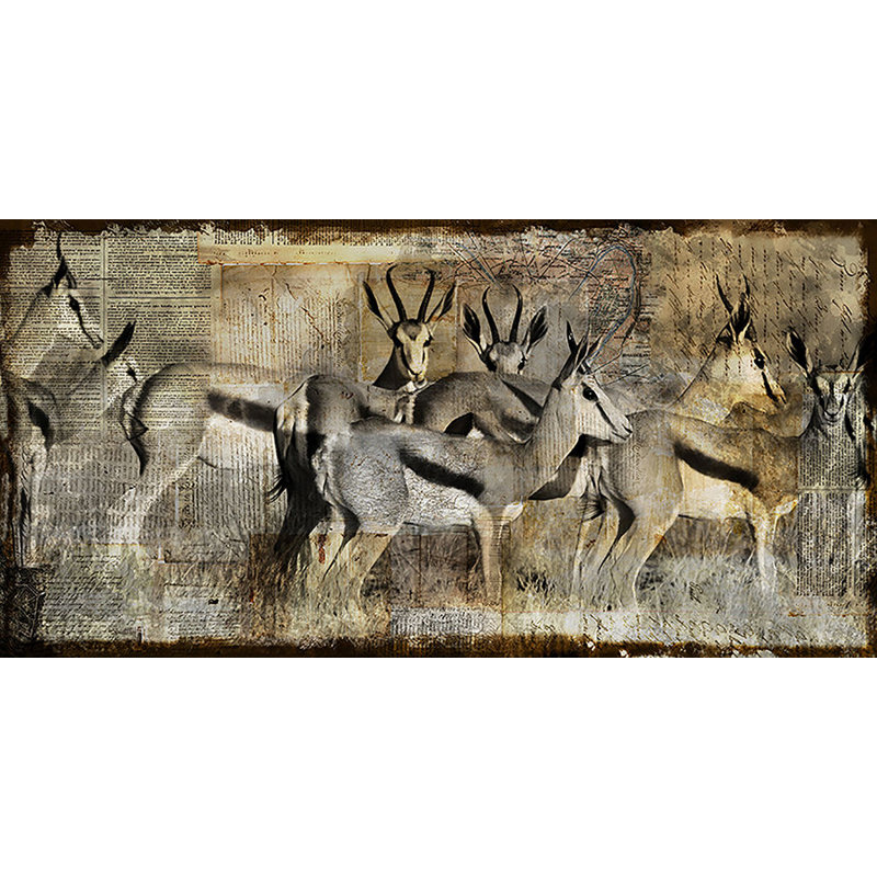 Springbok Print by Austin Beiv, 24" H x 48" W x 1.5" D, Glass Coat