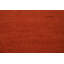 Tapis orange moderne Gabbeh 5 x 6