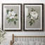 Magnolia botanique - ensemble de 2 reproductions d'art-866272705-866272718-866272719