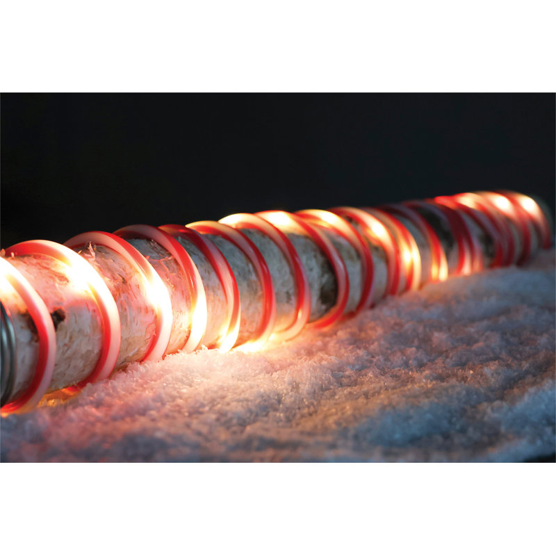 1000cm LED Indoor / Outdoor Rope Lights