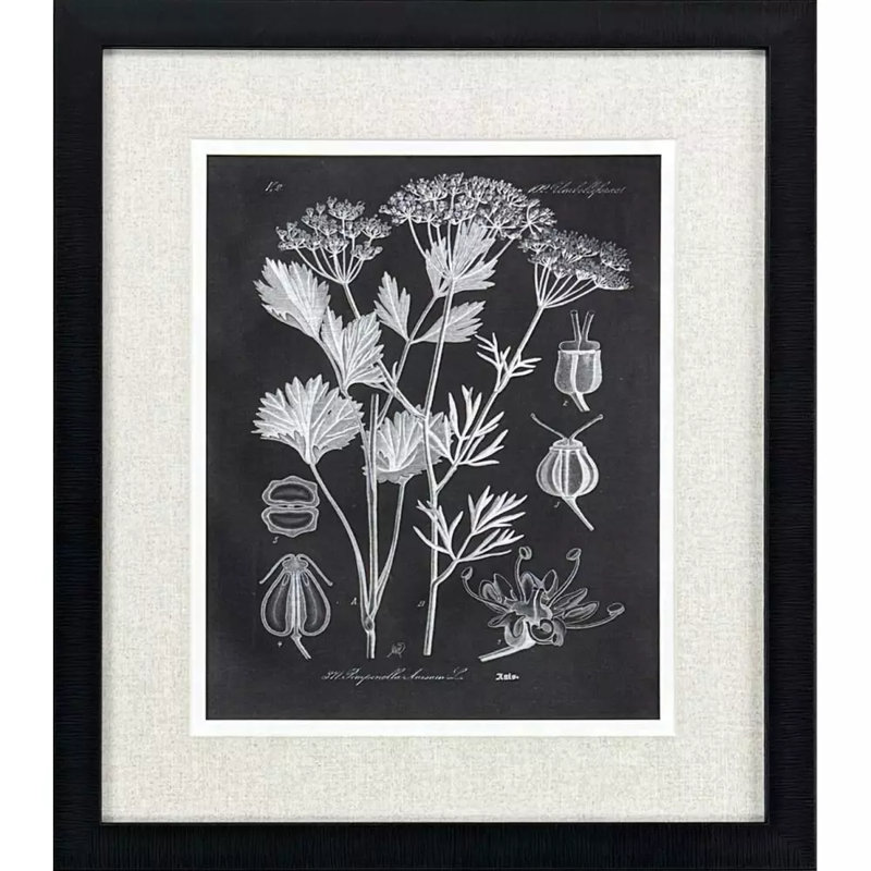 Mono Botanicals II S/2 Print by Libby Langdon Paragon