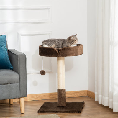 Northborough Cat Perch