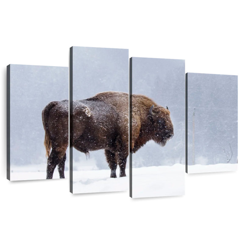 Brampt Romanian Bison, 48'' H x 75'' W