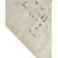 Naziah Camouflage 300cm X 400cm Area Rug