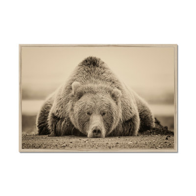 Deep Sleep by PHBurchett - Print