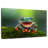 Brampt Happy Tree Frog-107694559
