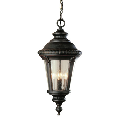 Lanterne suspendue d'extérieur 1 lumière H 17 po Robertson
