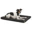 Lit pour animal de compagnie Midx West-27269929-27269924