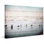 " Seagulls At The Ocean " by Parvez Taj-50247746