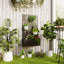 Wall Planter