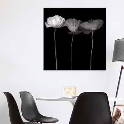 Poppy VI, B&W by Magda Indigo - Wrapped Canvas Print