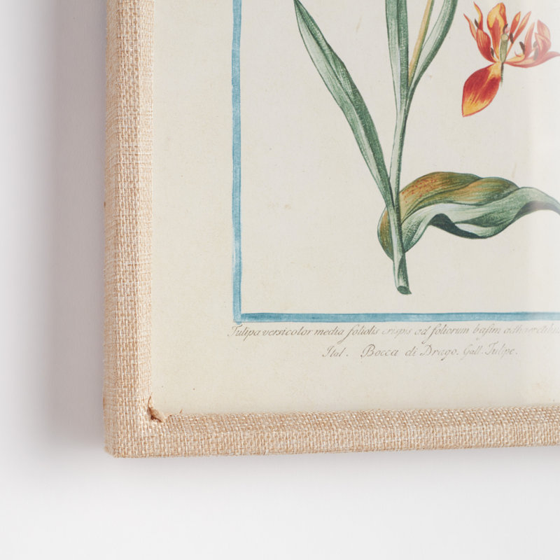 DAINTY FLORA & FAUNA STUDE, ENSEMBLE DE 9
