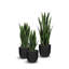 Snake artificiel en pot-22496763-22496764
