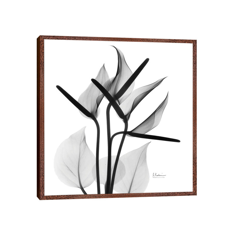 Flamingo Squared by Albert Koetsier - Gallery-Wrapped Canvas Giclée on Canvas, Classic Wood Framed