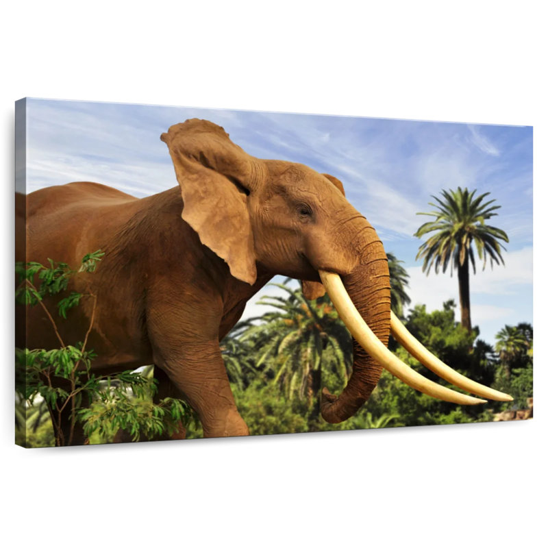 Brampt Prime Elephant, 30" H x 45" W