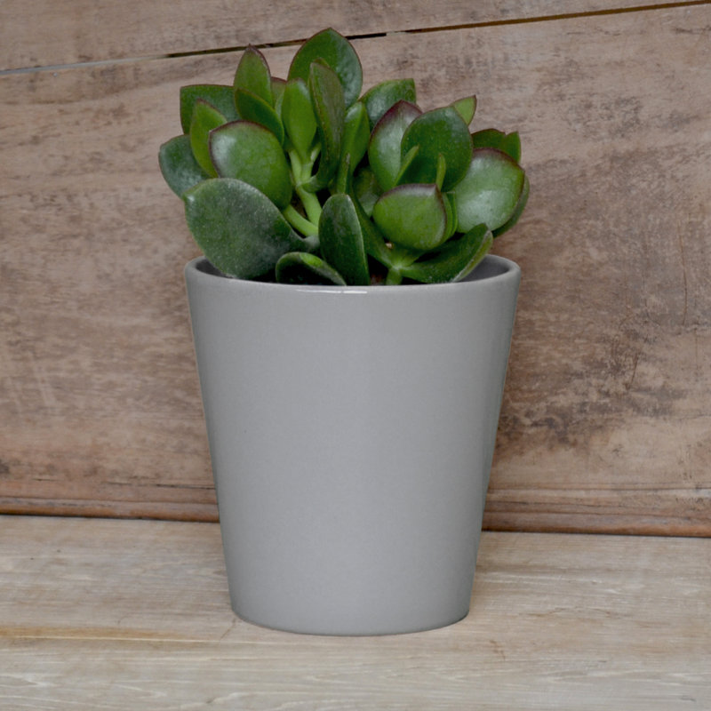 Malibu Handmade Pot Planter, Grey