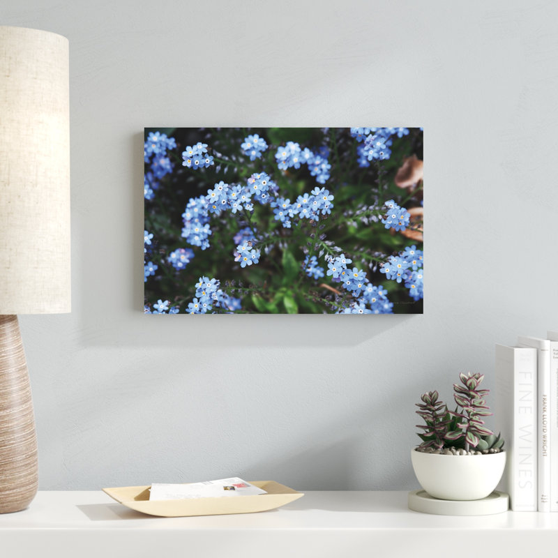 «Forget Me Nots IV» par Laura Marshall - photographie sur toile tendue, H 12 po x l 18 po