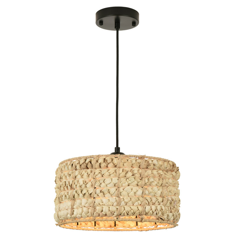 Luminaire suspendu 1 lumière noir mat