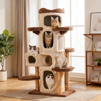 Structure d'escalade simple pour chat