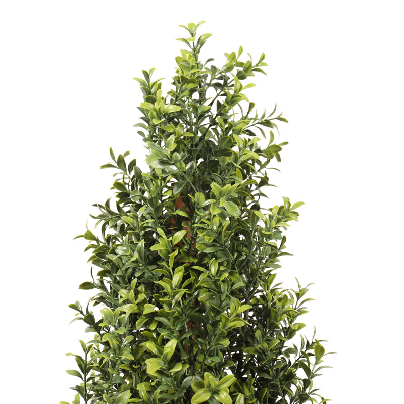 UV Boxwood Shrub 36" Topiary, 48" H x 15" W x 15" D