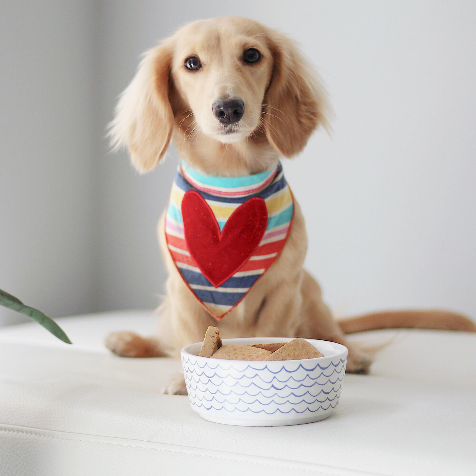 Sketched Wave Ceramic Dog Bowl, Large (8 cups / 64 fluid oz), Blue Wave, 3.25" H