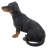 Dachshund Statue