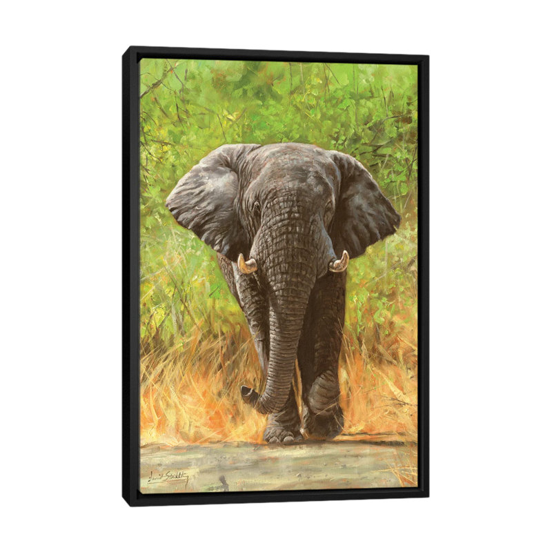 African Elephant Staredown - Print on Canvas, Black Framed, 152.5 cm H x 101.5 cm W