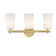 3 - Light Dimmable Vanity Light